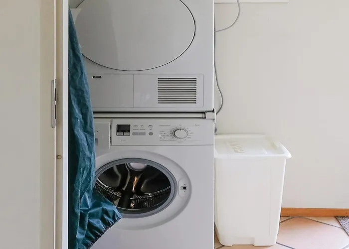 Luxurious Coastal Near Forest *