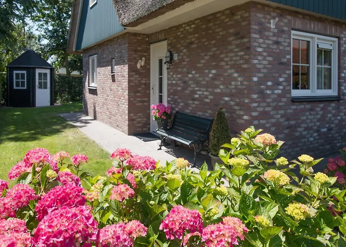 Luxurious Coastal Near Forest Tatil Evi Sint Maartensvlotbrug