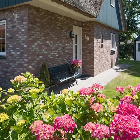Luxurious Coastal Near Forest Sint Maartensvlotbrug